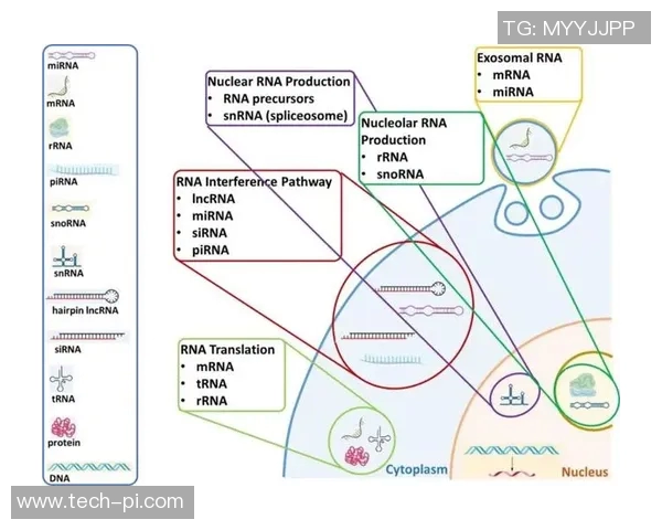 成都排球队防守革新之路探索与实践的深度剖析与展望 成都排球队防守革新之路探索与实践的深度剖析与展望