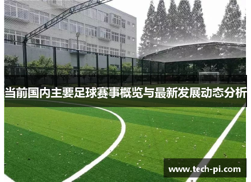 当前国内主要足球赛事概览与最新发展动态分析