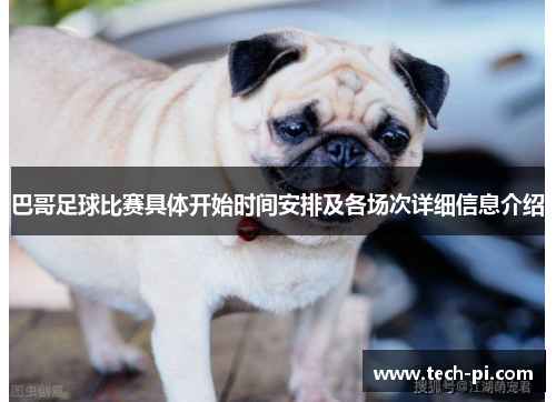 巴哥足球比赛具体开始时间安排及各场次详细信息介绍