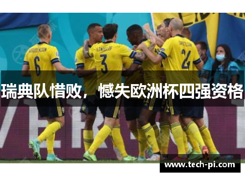 瑞典队惜败，憾失欧洲杯四强资格