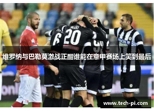 维罗纳与巴勒莫激战正酣谁能在意甲赛场上笑到最后